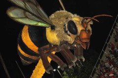 IMG_6768