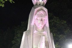 IMG_7243