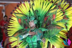 Carnaval 2024 - Grupo especial -  Campeãs