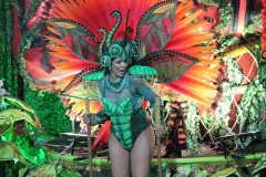 IMG_8132