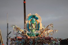 IMG_8294