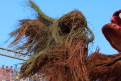 IMG_8357