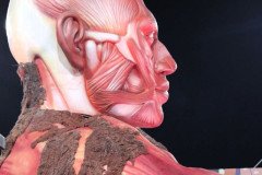 IMG_7626