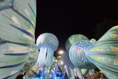 20250309_043116
