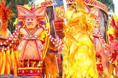 IMG_0194