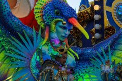 IMG_0416
