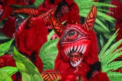 IMG_9772