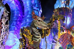 IMG_1168