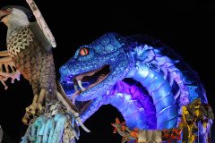 IMG_1169