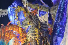 IMG_1172