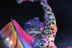 IMG_1281