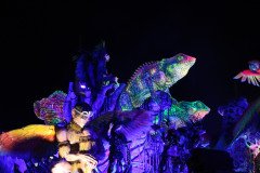 IMG_1282