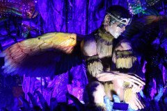IMG_1286