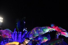 IMG_1287