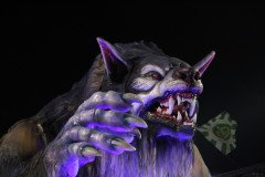 IMG_1395