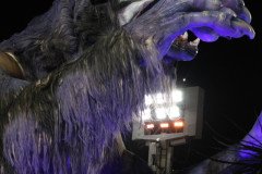 IMG_1400