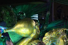 IMG_1421