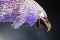 IMG_1461