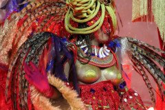 IMG_1509