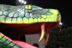 IMG_1572