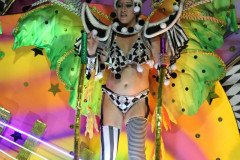IMG_1749