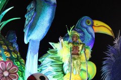 IMG_1769