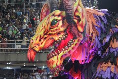 IMG_2010