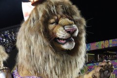 IMG_2101