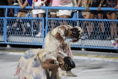IMG_2343
