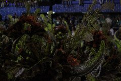 IMG_2484