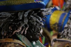 IMG_2534