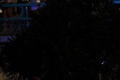 IMG_2741