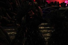 IMG_2743