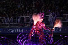 IMG_3003