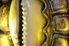 IMG_1064