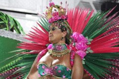 IMG_0556