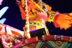 IMG_0591