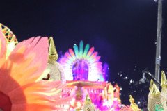 IMG_0619