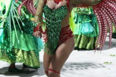 IMG_0699