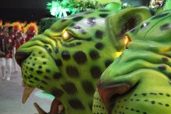 IMG_0749