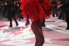 IMG_8208
