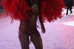 IMG_8215