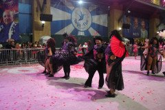 IMG_8224