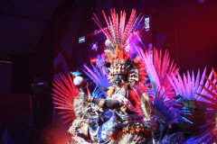 IMG_8659