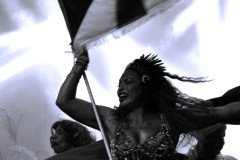 IMG_8721