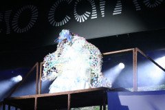 IMG_8860
