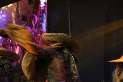 IMG_8873