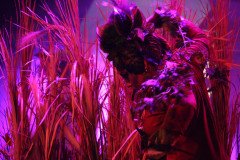 IMG_8892