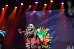 IMG_8943