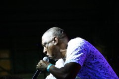 IMG_9311